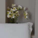 La Pietra 1 E La Pietra 2 *