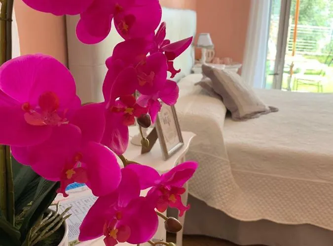 La Pietra 1 E La Pietra 2 *